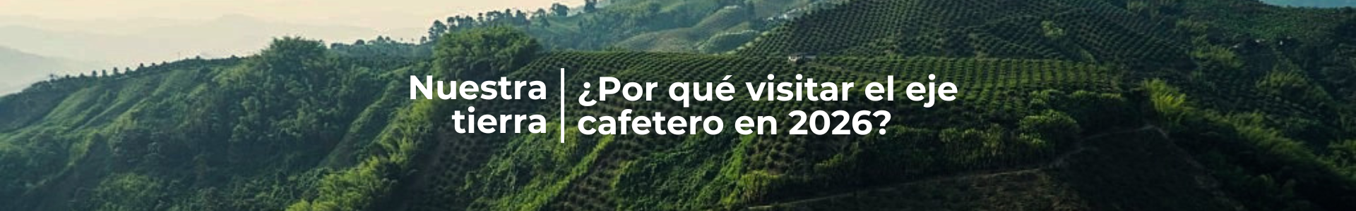 ¿Por qué visitar el eje cafetero en 2026?